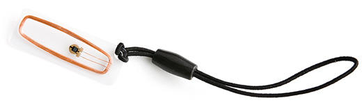 <b>Модификации:</b><BR>
EM-Marine</a>
<BR>
Temic</a>
<BR>
Mifare</a>
<BR>
I-Code</a>
<BR>